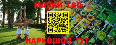 индика Обь