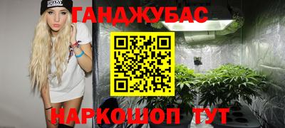 индика Обь