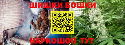 индика Обь