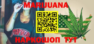 индика Обь