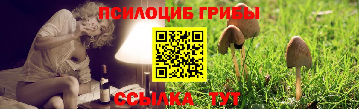 Галлюциногенные грибы ЛСД  где можно купить   Ангарск  Вход с VPN 