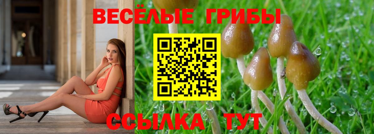 Псилоцибиновые грибы GOLDEN TEACHER Ангарск